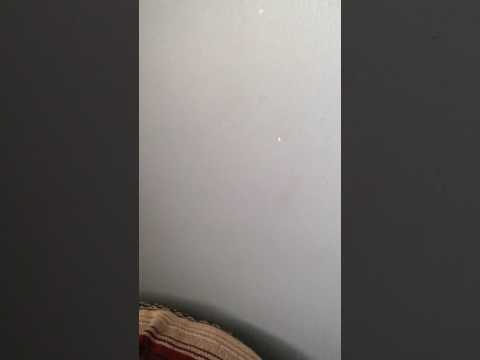 "Messiah" (pc version) review