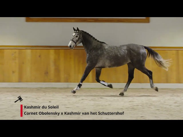Kashmir du Soleil