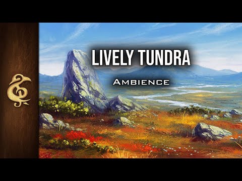 D&D Ambience | Lively Tundra | Nature, Plains, Animals - YouTube