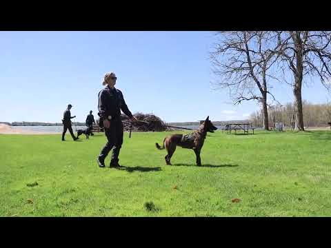 Oswego County TodayState Division Of Homeland Security And Emergency Services Hosts Canine Explosive Detection Training - Vimarsana News