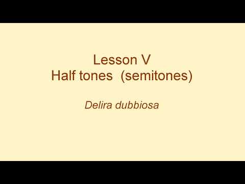 Vaccai Metodo pratico di canto italiano - Lesson V Half-tones (semitones) Delira dubbiosa (8)