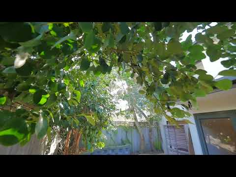 2288 Hereford Street