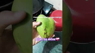 mashallah heart shape mango!! #allah#love #nature #trending#viral#foodvideo