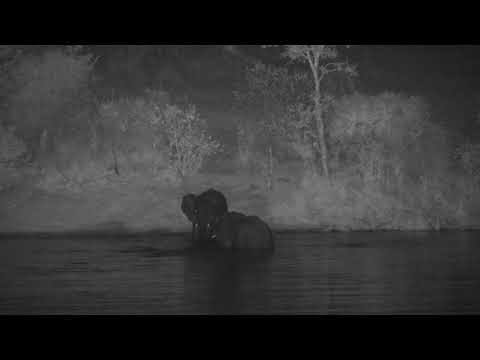 Djuma: Three Elephants playing in the water - 17:58 - 07/01/2023