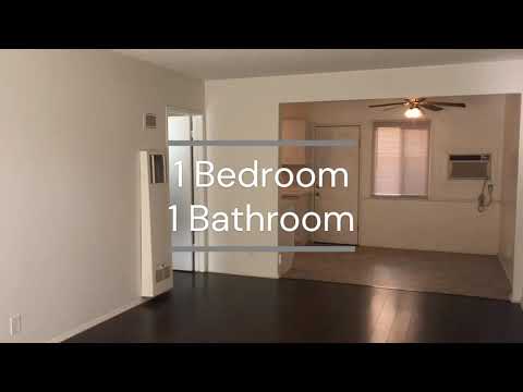 Shirley RCLA RUBS - Video 2 of 2