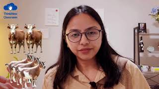 Polynomials Born from Centuries of Curiosity