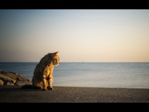 Dub Techno Session #29