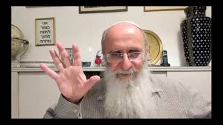 חידוש הלכות סנהדרין, הרב אורי שרקי