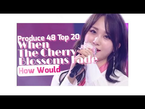 How Would PRODUCE 48 Top 20 sing 'When The Cherry Blossom Fade' [Line Distribution/Color Coded]