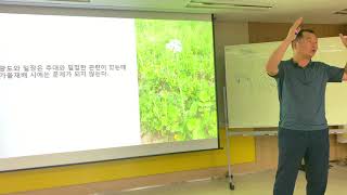 열무  옥수수 그리고 유박 (재배학 강의 무편집)