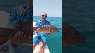 Hôtel Kasa Afrikana