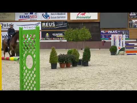 Kristo van het Gehucht (Kannan x Ustinov)