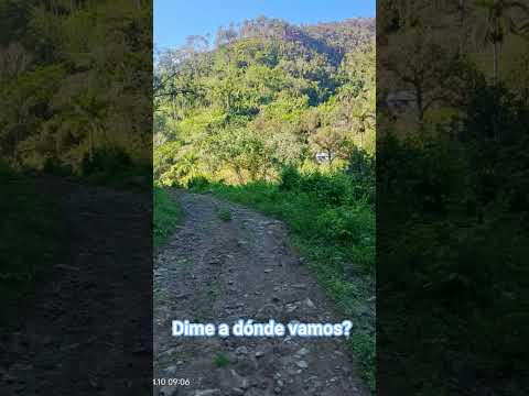 parajes de naturaleza Cubana, Granma, Buey Arriba #bueyarriba #paisajesextremos