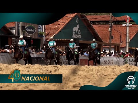 GRAND CHAMPIONSHIPS OF PICADA GAIT - 40TH NATIONAL EXHIBITION