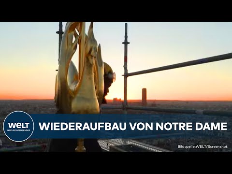 PARIS: Wiederaufbau von Notre Dame! Goldener Hahn mit flammenförmigen Federn schmückt Kathedrale