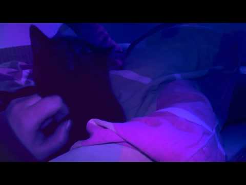 IGB Qualifikation - Brain