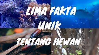 Download lagu Lima fakta unik hewan #faktaunik #video #hhw #եզակի #Bhidio #Videó  mp3 Download lagu Lima fakta unik hewan #faktaunik #video #hhw #եզակի #Bhidio #Videó  mp3
