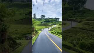 Download lagu rute ciwidey - cidaun mp3