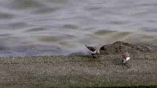 20180228ﾄｳﾈﾝ（当年）2