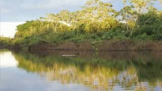 preview picture of video 'Parque Estadual do Cantão - Hospedagem e Agronegócios'