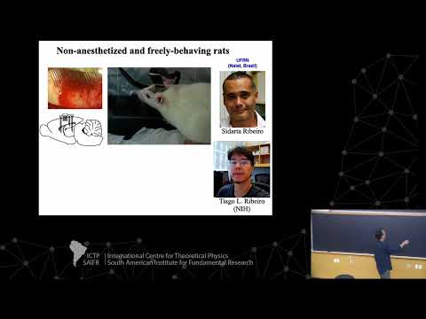 Mauro Copelli: Brain criticality - Class 3