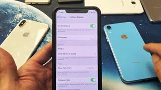 iPhone X/XS/XR: How to Turn On/OFF "Do Not Disturb" + Tips (Half Moon)