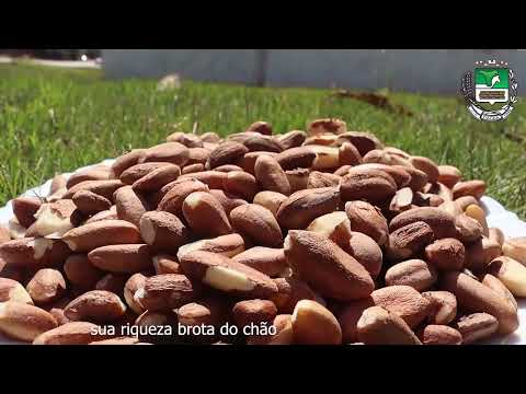 Homenagem aos 36 anos de Itaúba