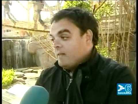 NOTICIAS NAVARRA INFORMATIVO 20 DE MARZO DE 2011