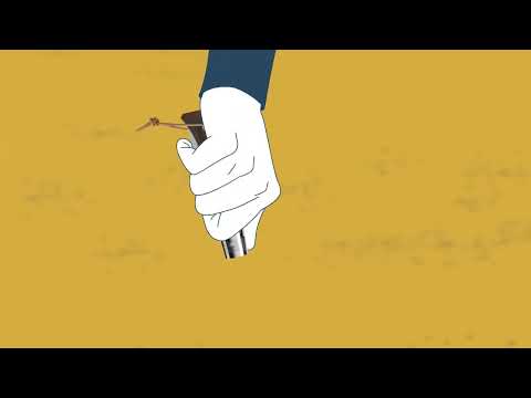Productvideo 1 - Opinel No 6 Néo6 Black Walnut Zakmes – RVS Lemmet – Walnoothouten Heft – Opiflex – EDC Tool