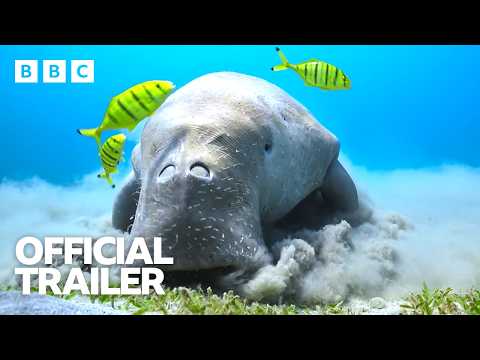 Blue Planet III (2026)