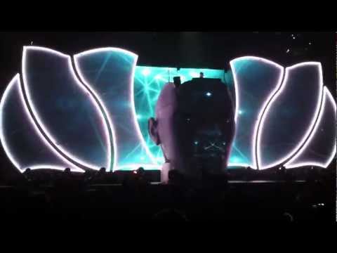 AVICII Le7els Tour- Penguin/Fade Into Darkness (Tampa 2012)