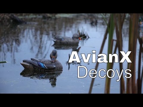 AvianX Decoy Review