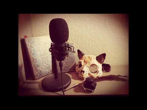 I'll Fly for You by Aisling Querelle (Vocal Cover)