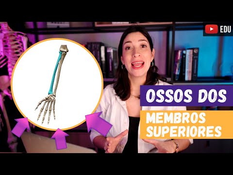 Ossos dos MEMBROS SUPERIORES! Revisão!