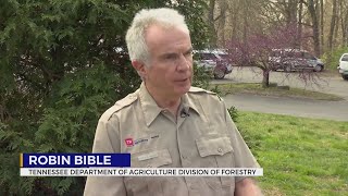 Robin Bible - Tn Department Of Agriculture Division Of Forestry