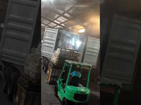 Phú Giáo OR043-1 SEGU2499053