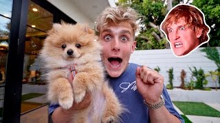 I STOLE MY BROTHERS PUPPY **PRANK WARS** (HE FREAKED OUT)