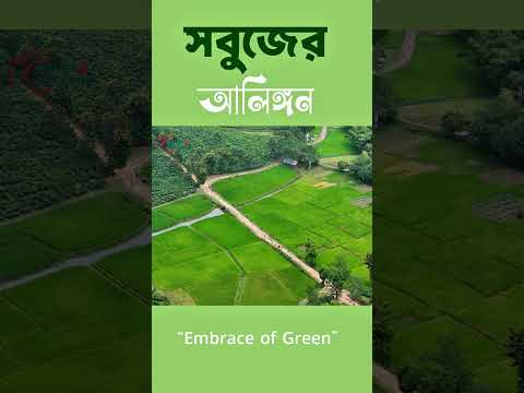 এমন জায়গা সত্যি আছে | Can You Imagine This