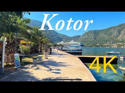 Kotor Montenegro 🇲🇪 Walking Tour along the coast 4K