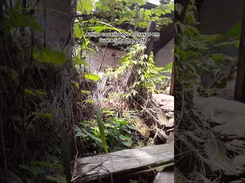 antigo casarão dos escravos em#Guaraciaba#Ceará#