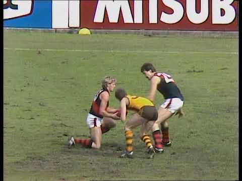 1984 VFL Grand final - Essendon v Hawthorn
