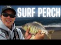 THE ULTIMATE CATCH & COOK GUIDE:  BARRED SURF PERCH!