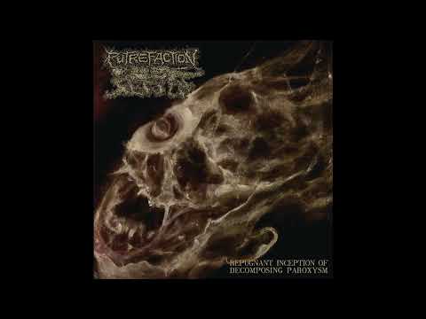 Putrefaction Sets In - Fleshsaw
