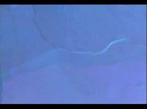 hazy iii Yoshitaka Hirota