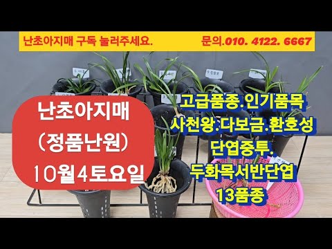 유튜브 썸네일