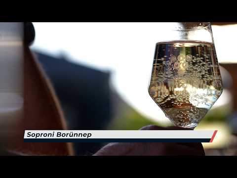 Híradó – 2026.05.26. – Kedd – Sopron TV