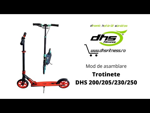 Trotineta Dhs 250 - Gri
