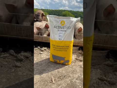БМВД ActiveMix Universal для свиней 25/15/10% с FlavoVital, мешок 25 кг - ActivePro by Josera - фото 1 - id-p3127455508