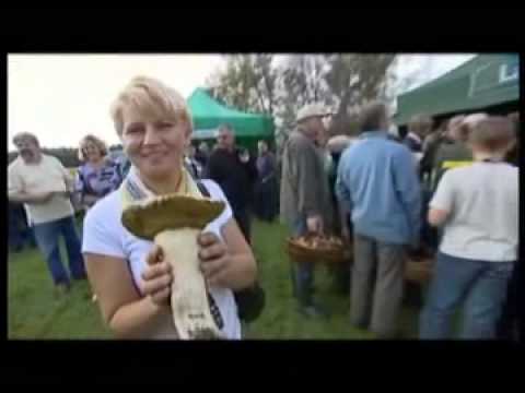 Michałowo - 18.09.2010 -Studio Region - Telewizja Polska SA