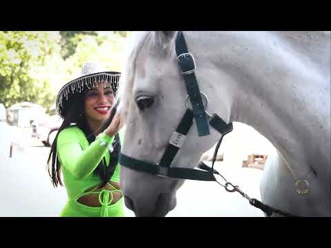 La inquieta tipica - el emigrante